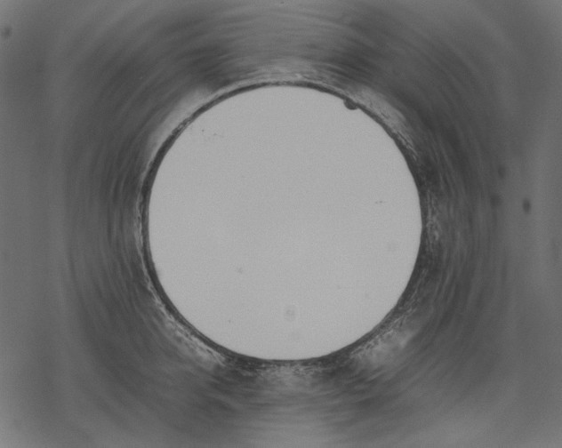 X0000077280950200611031522