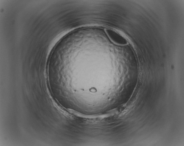 X0000077280951200611031522