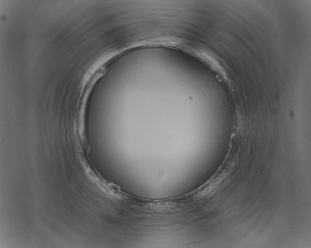 X0000077280952200611031522