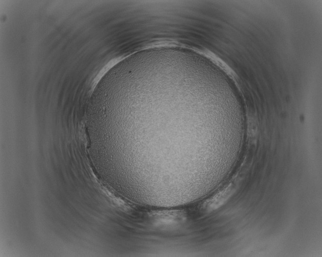 X0000077280953200611031522