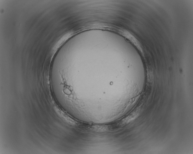 X0000077280954200611031522