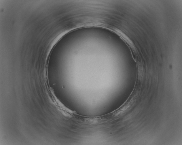 X0000077280956200611031522