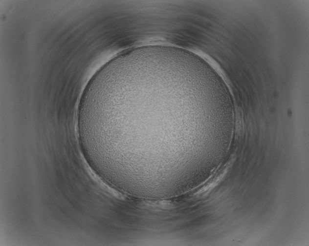 X0000077280957200611031522