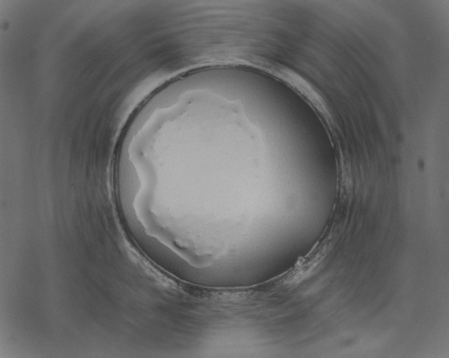 X0000077280958200611031522