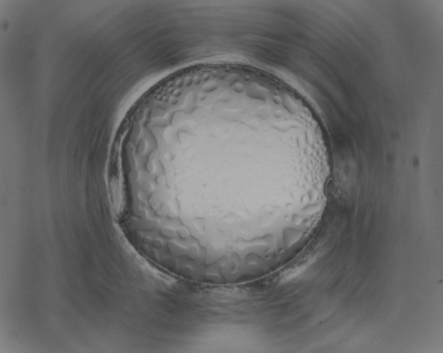 X0000077280959200611031522