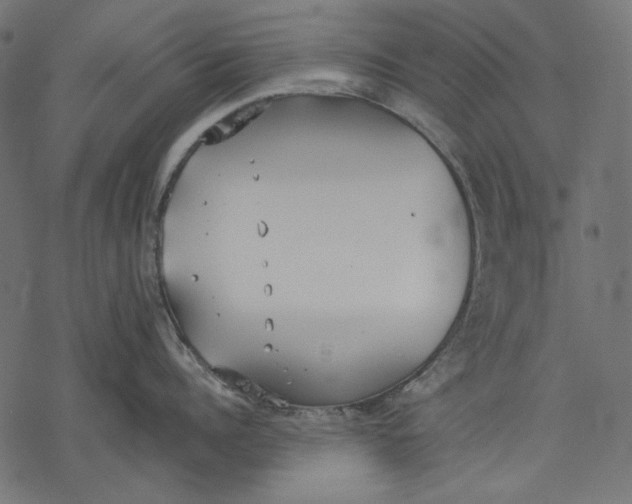 X0000077280960200611031522