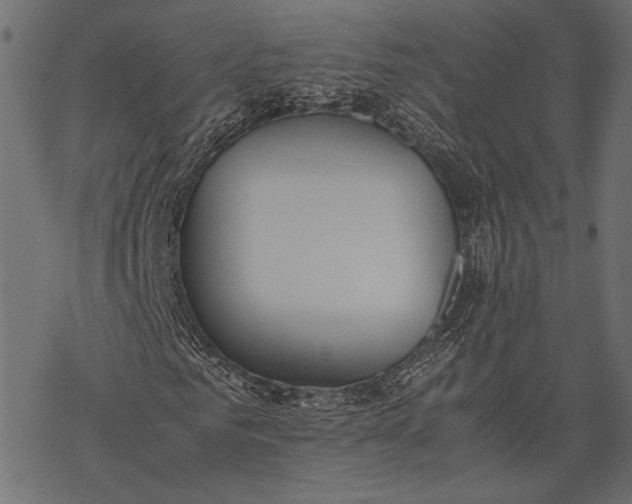 X0000077280961200611031521