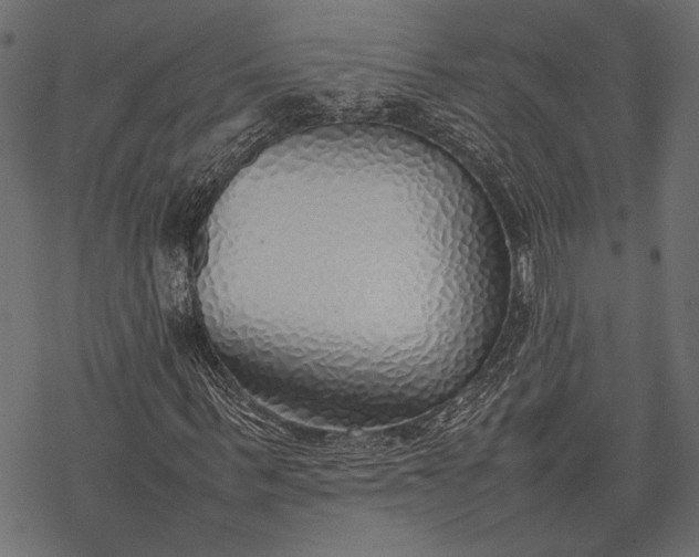 X0000077280963200611031521