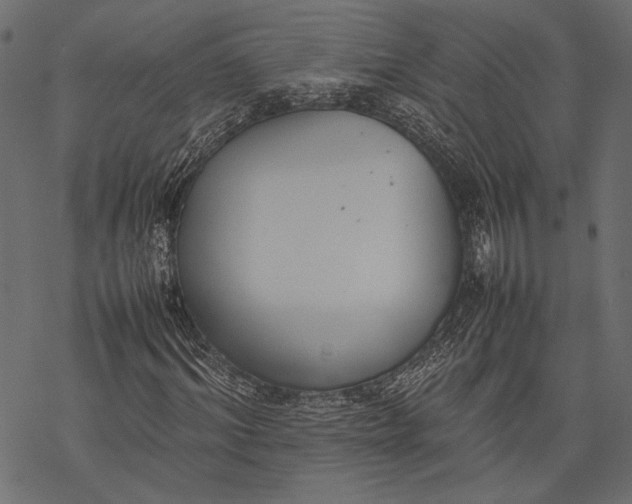 X0000077280964200611031521