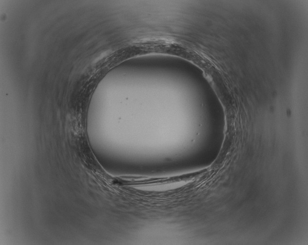 X0000077280965200611031521