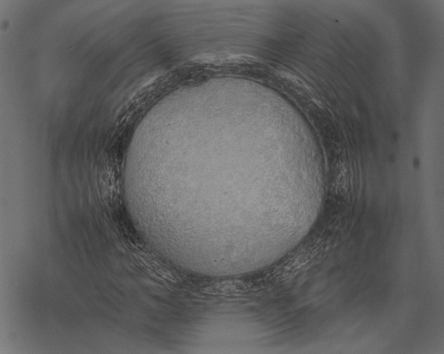 X0000077280966200611031521