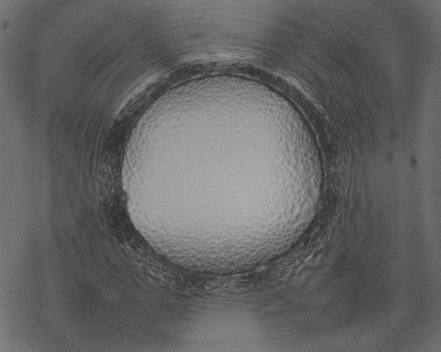 X0000077280967200611031521