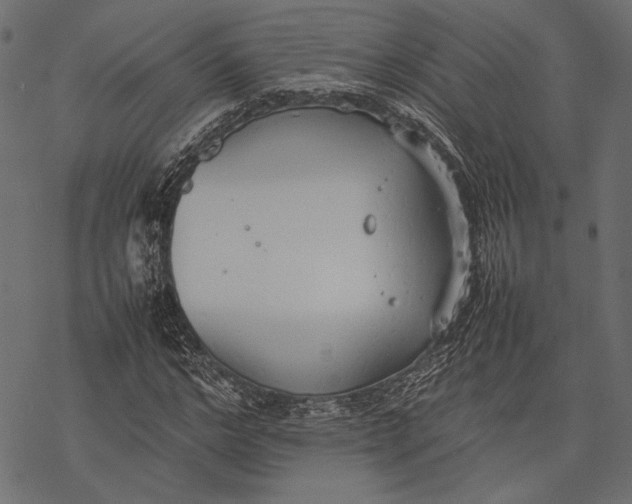 X0000077280968200611031521