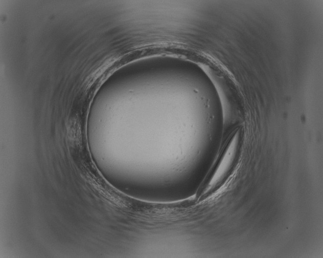 X0000077280969200611031521