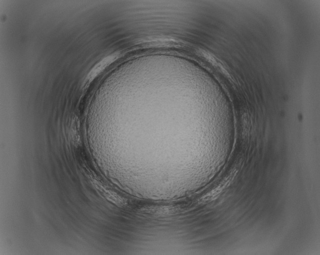 X0000077280970200611031521