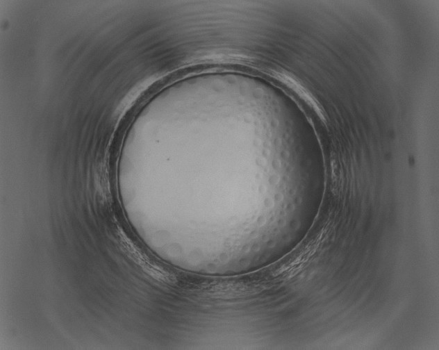 X0000077280972200611031521