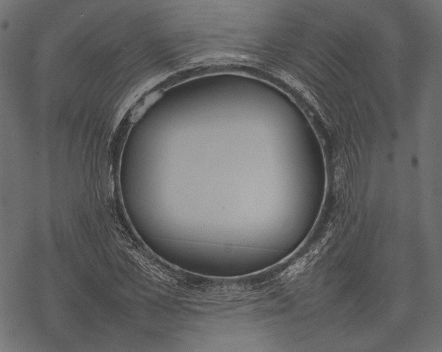 X0000077280973200611031521