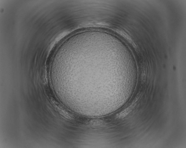 X0000077280974200611031521