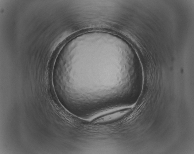 X0000077280975200611031521