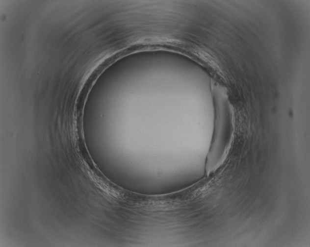 X0000077280976200611031521