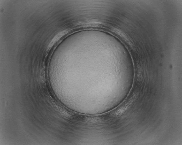 X0000077280978200611031521