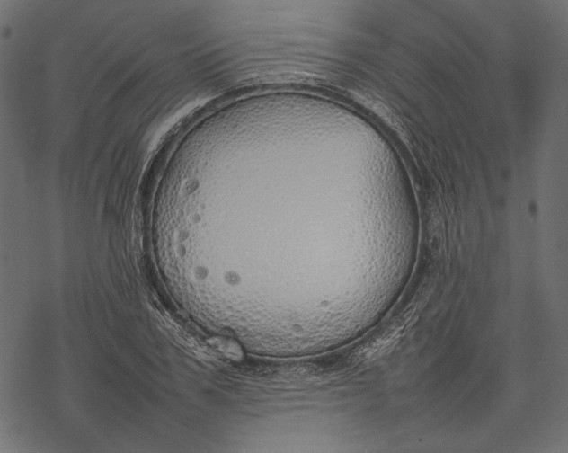 X0000077280979200611031521