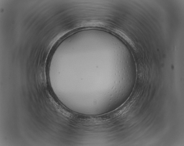 X0000077280980200611031521