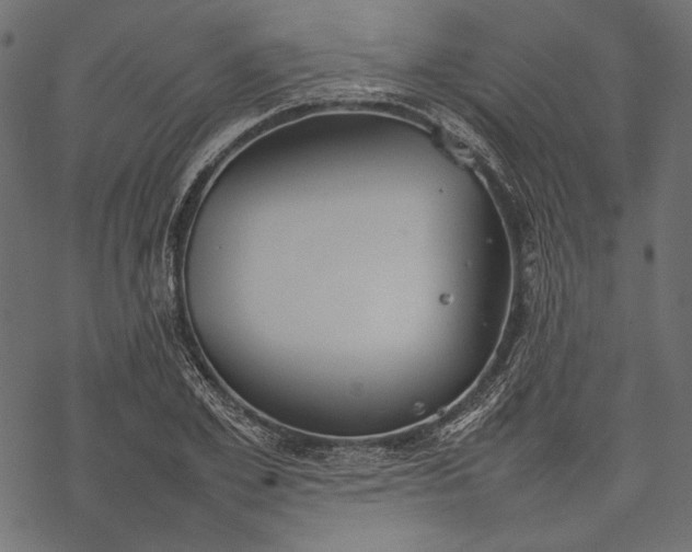 X0000077280981200611031521