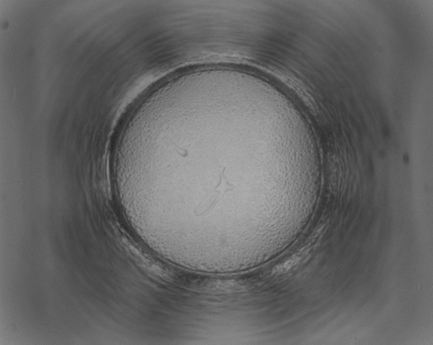 X0000077280982200611031521