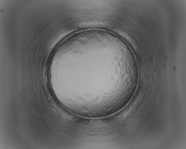 X0000077280983200611031521