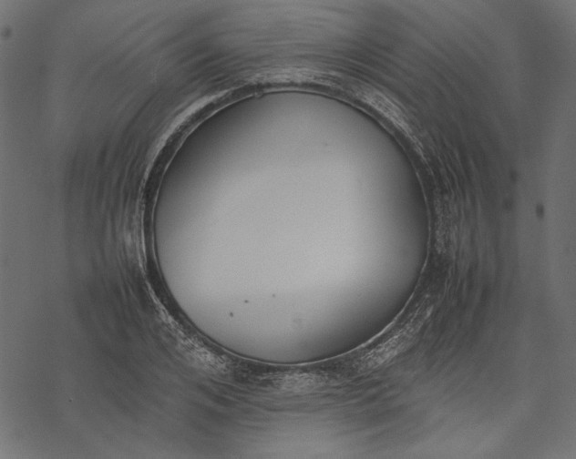 X0000077280984200611031521