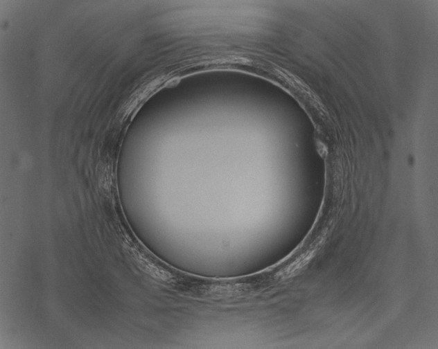 X0000077280985200611031521