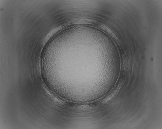 X0000077280986200611031521