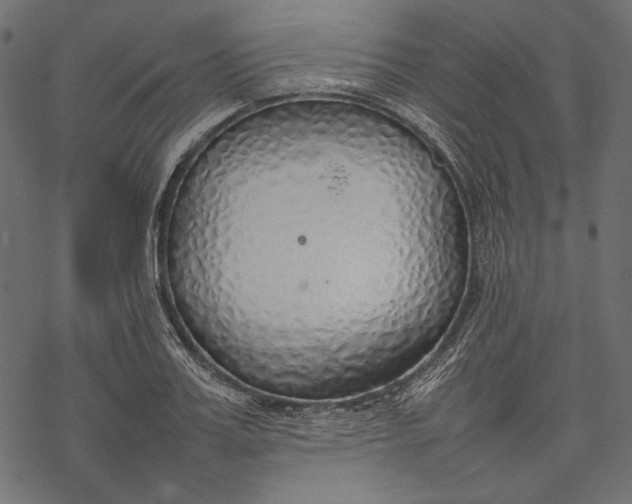 X0000077280987200611031521