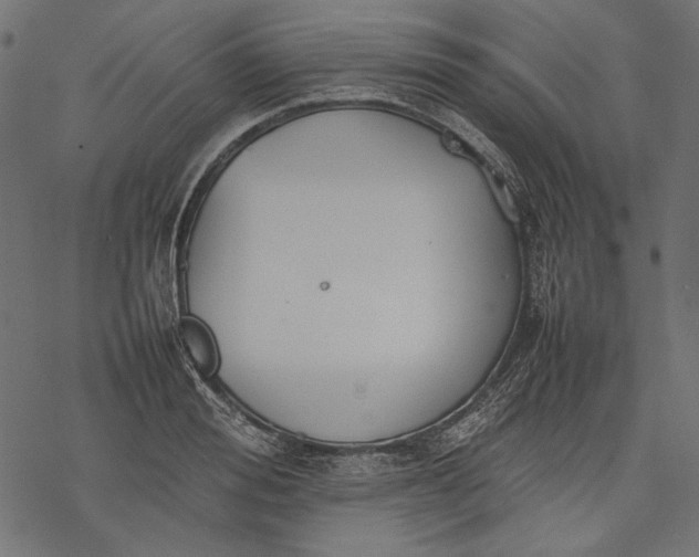 X0000077280988200611031521