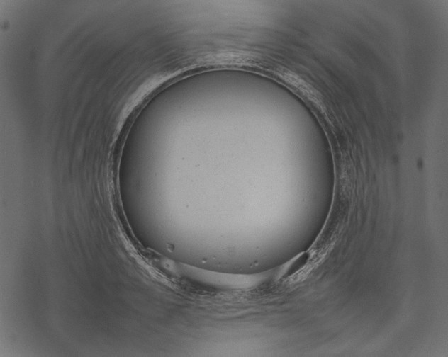 X0000077280989200611031521