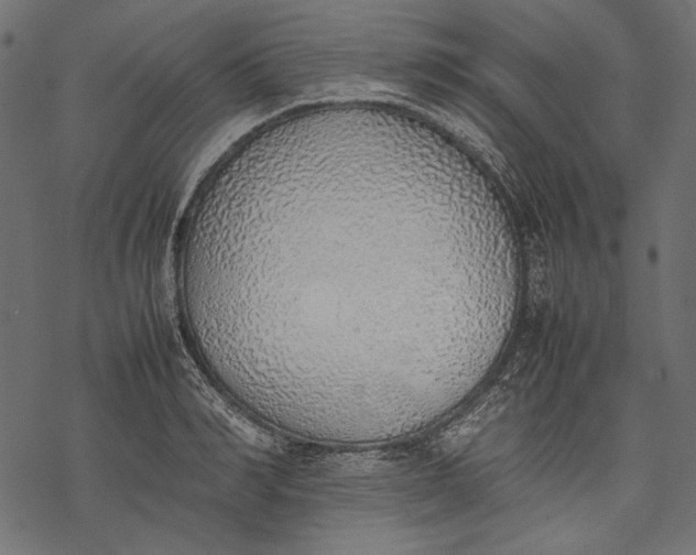 X0000077280990200611031521