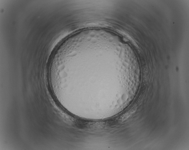 X0000077280991200611031521