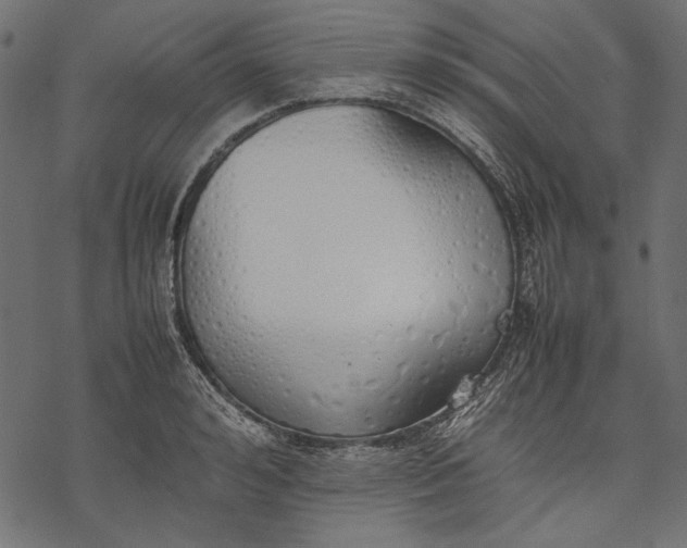 X0000077280992200611031521