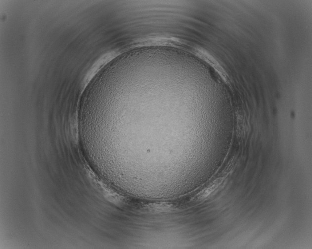 X0000077280994200611031521