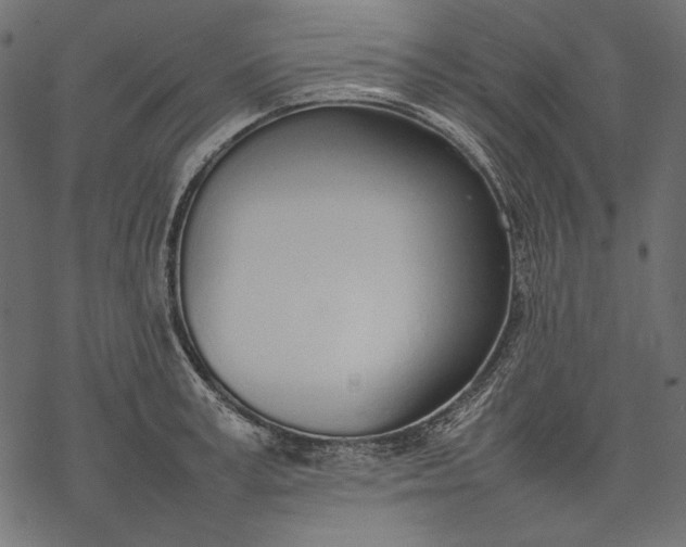 X0000077280995200611031521