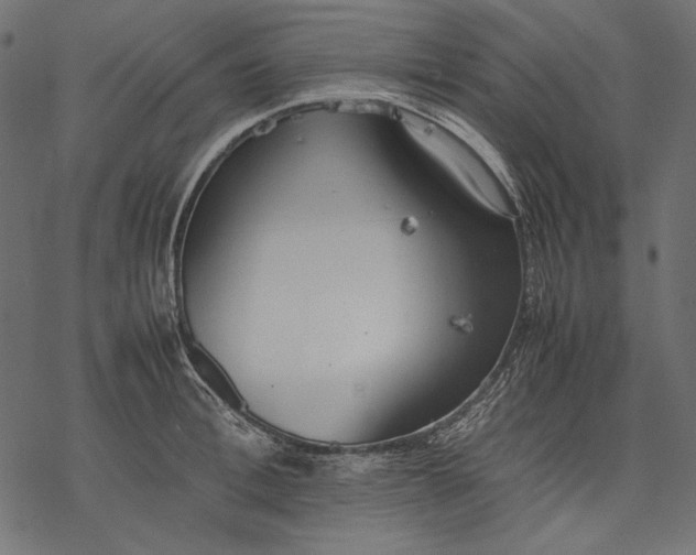 X0000077280996200611031521