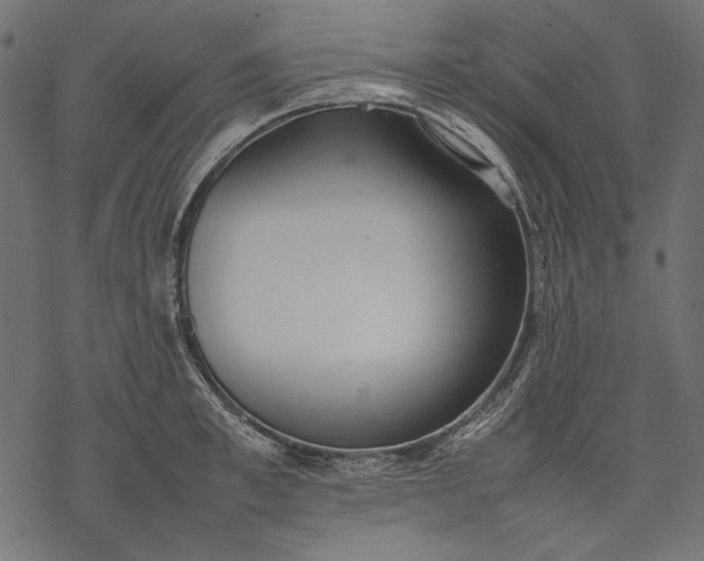 X0000077280997200611031521