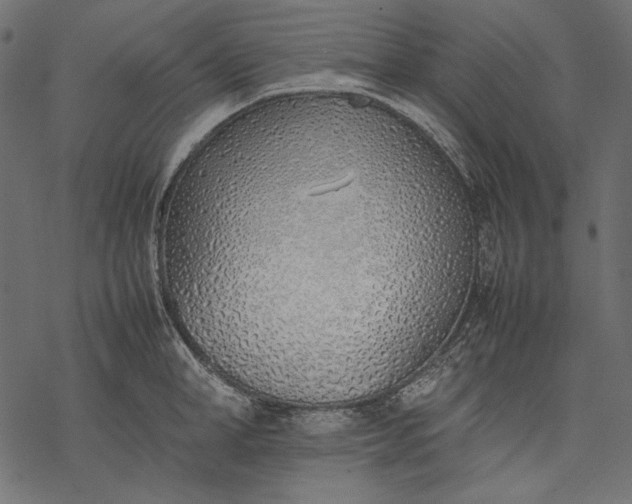 X0000077280998200611031521