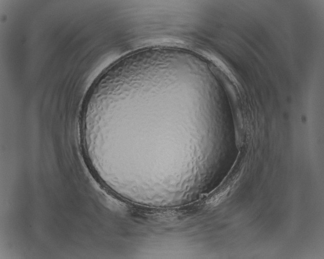 X0000077280999200611031521