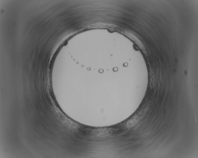 X0000077281000200611031521