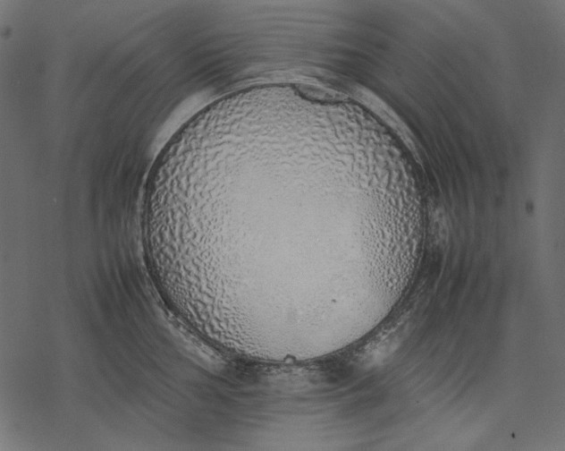 X0000077281002200611031521