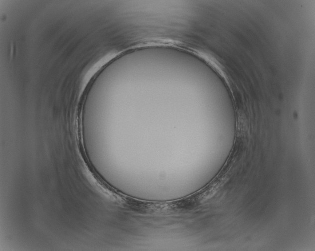 X0000077281003200611031521