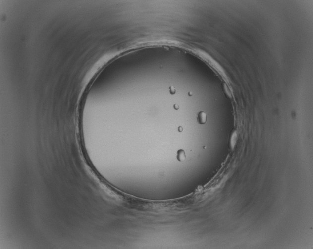 X0000077281005200611031520