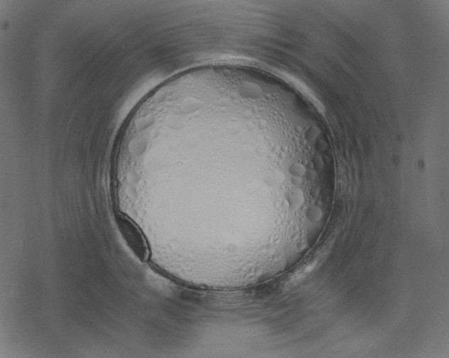 X0000077281007200611031520